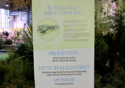 presentazione